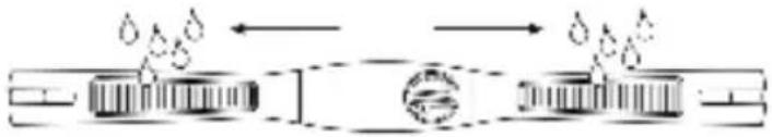 Ciclo CP 11L Puls - Ceinture de poitrine - 3