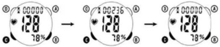 Ciclo CP 11L Puls - TIMER TOTAL DEL EJERCICIO (TIMER) - 9 horas 59 min 59 seg - 1
