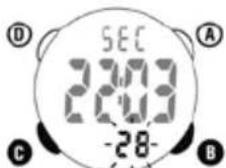 Ciclo CP 11L Puls - OROLOGIO - 4