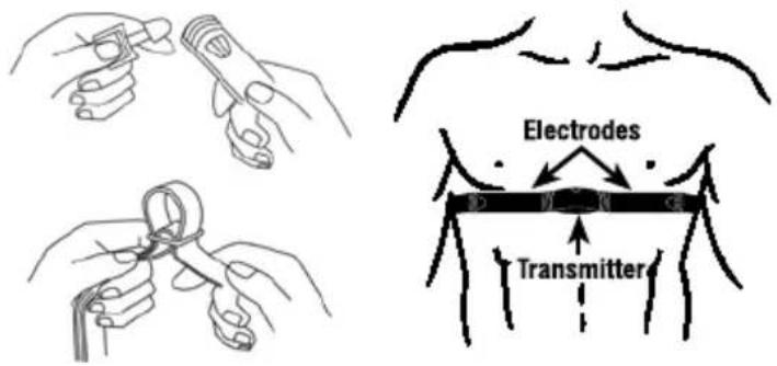 Ciclo CP 11L Puls - WEARING THE TRANSMITTER BELT - 1