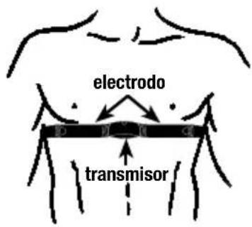 Ciclo CP 11L Puls - INDICE - 1