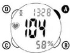 Ciclo CP 11L Puls - HUIDIGE HARTSLAG - 1
