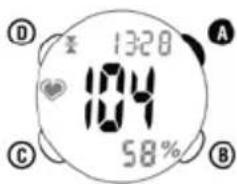Ciclo CP 11L Puls - AKTUALNE TETNO - 1