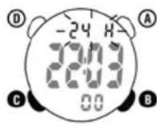 Ciclo CP 11L Puls - RELOJ - 1