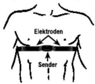 Ciclo CP 11L Puls - Seite - 8