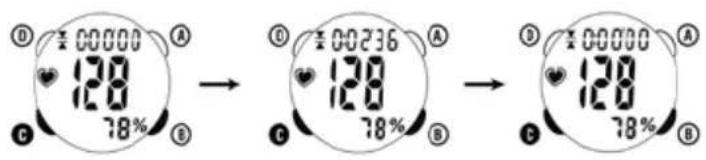 Ciclo CP 11L Puls - TOTAL EXERCISE TIMER(TIMER) - 9 hour 59 min 59 sec - 1