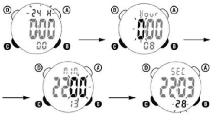 Ciclo CP 11L Puls - INLEIDING - 2