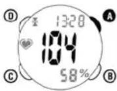 Ciclo CP 11L Puls - CURRENT HEART RATE - 1