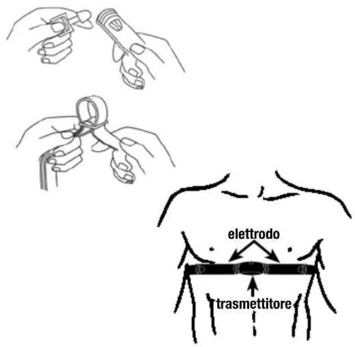 Ciclo CP 11L Puls - Non estrarre la batteria con oggetti appuntiti - 1