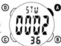 Ciclo CP 11L Puls - STOPWATCHMODUS - 1