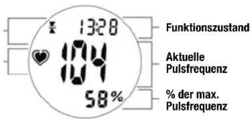 Ciclo CP 11L Puls - disPlaY iM M∅dus PulsFReQuenZ - 1