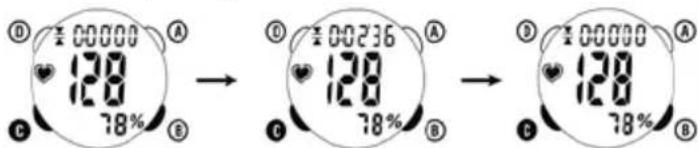 Ciclo CP 11L Puls - ŁĄCZNY CZAS – 9 godzin 59 min 59 sek - 1
