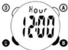 Ciclo CP 11L Puls - Daily Alarm on / off - 2