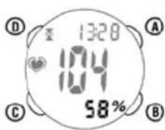 Ciclo CP 11L Puls - % DE LA FCM (FRECUENCIA CARDÍACA MÁXIMA) - 1