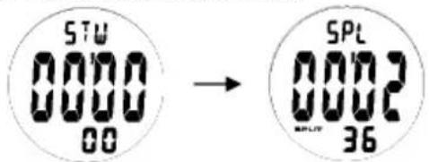 Ciclo CP 11L Puls - CRONOMETRO - 3