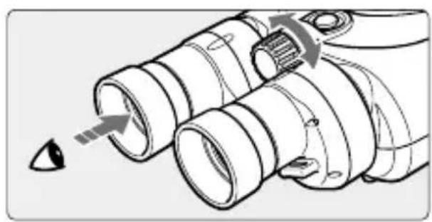 CANON 10X30 IS II - Effectuez le réglage dioptrique. - 1
