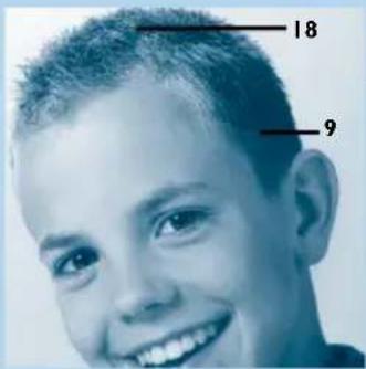 PHILIPS HQC486 - Kort en eenvoudig - 1