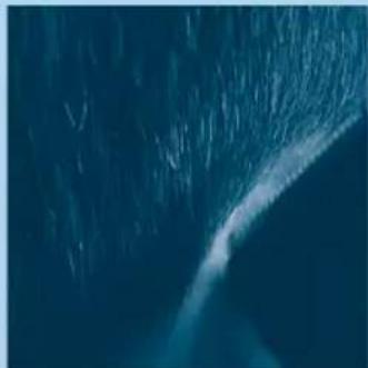 PHILIPS HQC486 - como retocar el contorno sin accesorio de peine - 2