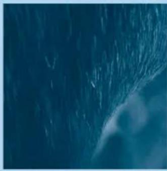 PHILIPS HQC486 - Come rifinire i contorniswana usare il pettine - 1