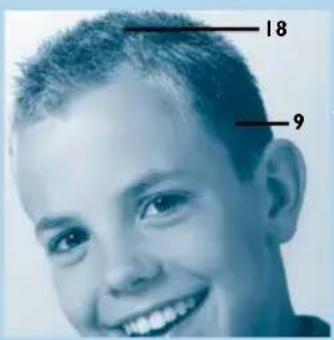 PHILIPS HQC486 - Cortoy sencillo - 1