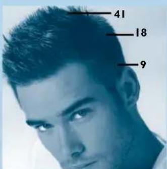 PHILIPS HQC486 - Lang bovenop en kort aan de zijkanten - 1