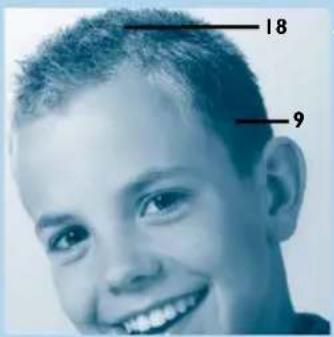 PHILIPS HQC486 - Curto e simples - 1