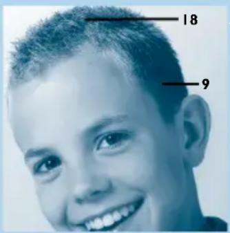 PHILIPS HQC486 - Kurz und einfach - 1