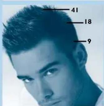 PHILIPS HQC486 - Short and simple - 2