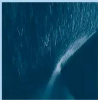 PHILIPS HQC486 - Come rifinire i contorniswana usare il pettine - 2