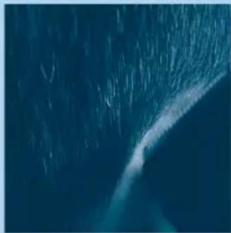 PHILIPS HQC486 - Graduação - 2