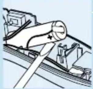 PHILIPS HQC483 - Environment - 5