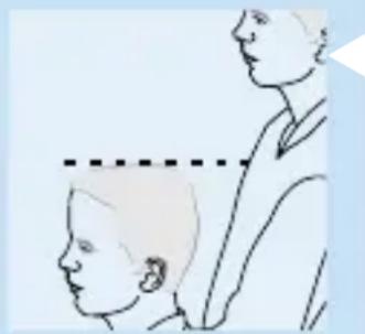 PHILIPS HQC483 - Taille avec guide de coupe - 1