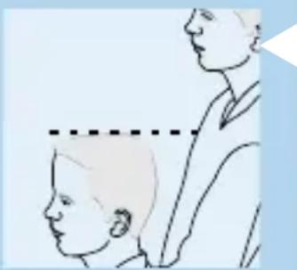 PHILIPS HQC482 - Knippen met opzetkam - 1