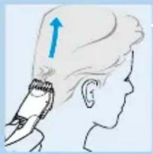 PHILIPS HQC482 - Knippen met opzetkam - 2