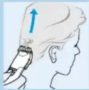 PHILIPS HQC482 - Taille avec guide de coupe - 2