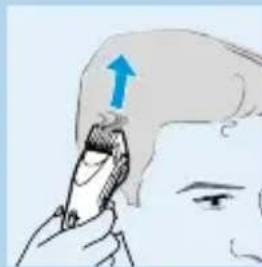 PHILIPS HQC281 - Crewcut - 3