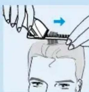 PHILIPS HQC241 - Bürstenschmitt - 4