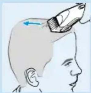 PHILIPS HQC241 - Crewcut - 6