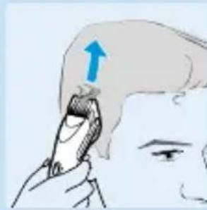 PHILIPS HQC241 - Crewcut - 2