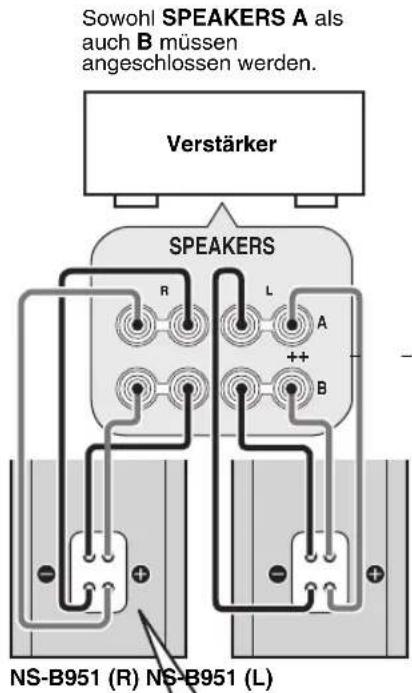 YAMAHA NSB951 - Vor Anschluss die Jumperkabel abnehmer. - 2