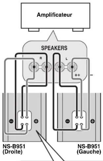 YAMAHA NSB951 - Retirer les cavaliers avant la connexion. - 1