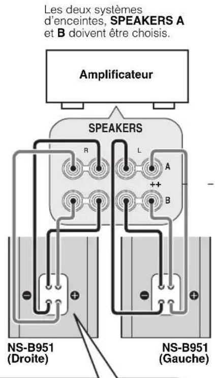 YAMAHA NSB951 - Retirer les cavaliers avant la connexion. - 2
