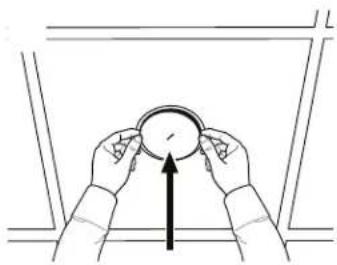 BOSE FreeSpace 3 - Surface-Mount Satellites - 30