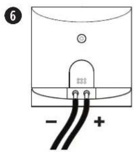 6 - +