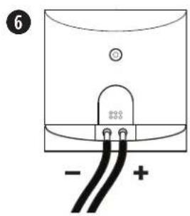 6 - +