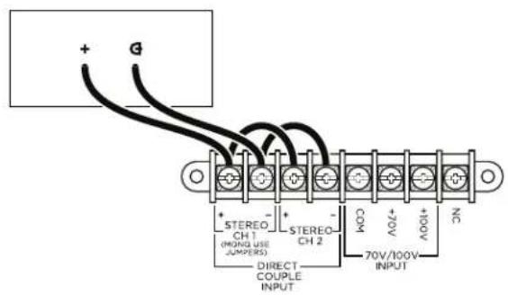 + G + STEREO CH 1 + (MONG USE JUMPERS) + STEREO CH 2 - DIRECT COUPLE INPUT COM + 20V + 100V NC 70V/100V INPUT