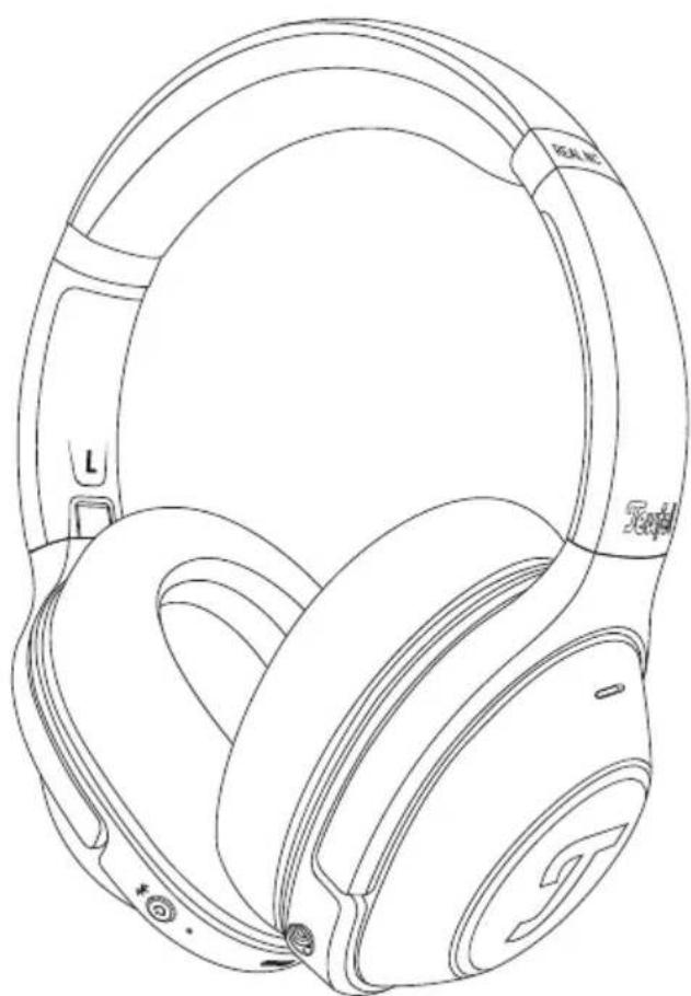 Teufel Real Blue NC - Description technique et mode d'emploi - 1