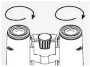 SWAROVSKI OPTIK CL Pocket Mountain 8x25 B - Verwendung ohne Brille: - 1
