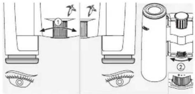 SWAROVSKI OPTIK CL Pocket Mountain 8x25 B - Verwendung bei unterschiedlicher Sehkraft beider Augen: - 1