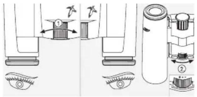 SWAROVSKI OPTIK CL Pocket Mountain 8x25 B - Utilisation avec une acuité visuelle variant d'un œil à l'autre : - 1